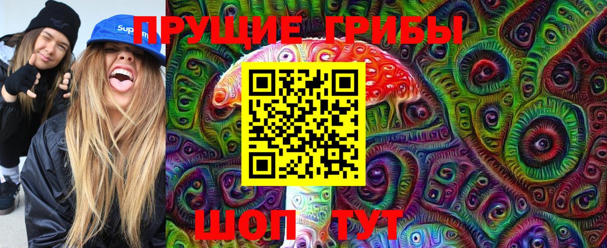 Мурино  Псилоцибиновые грибы ЛСД  Вход с VPN 