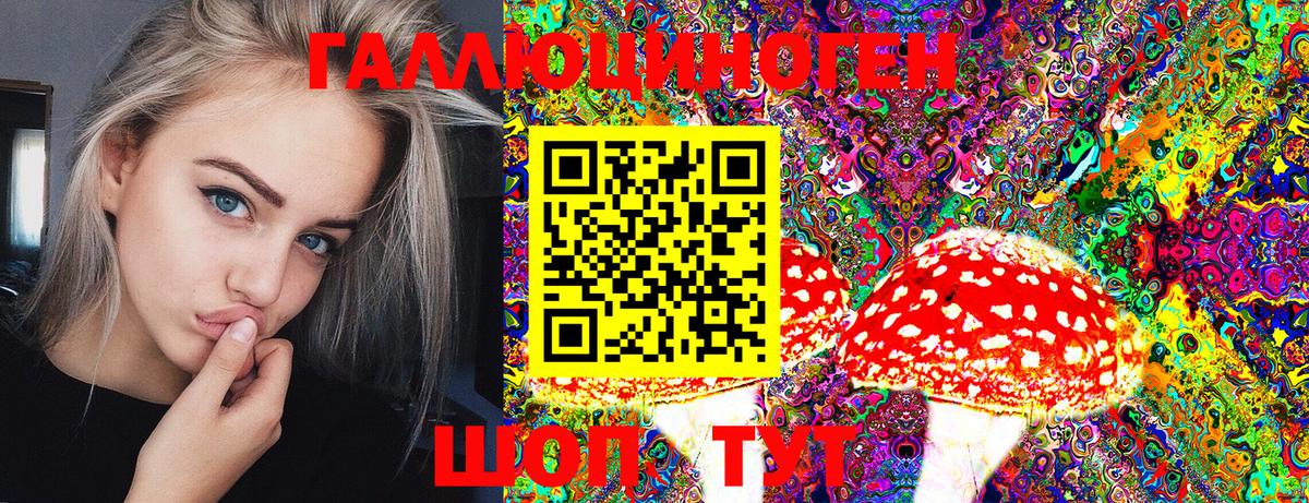 Галлюциногенные грибы мицелий Мурино