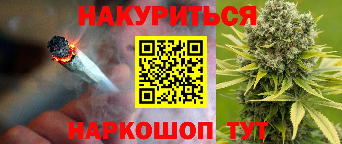 Бошки Шишки план Мурино
