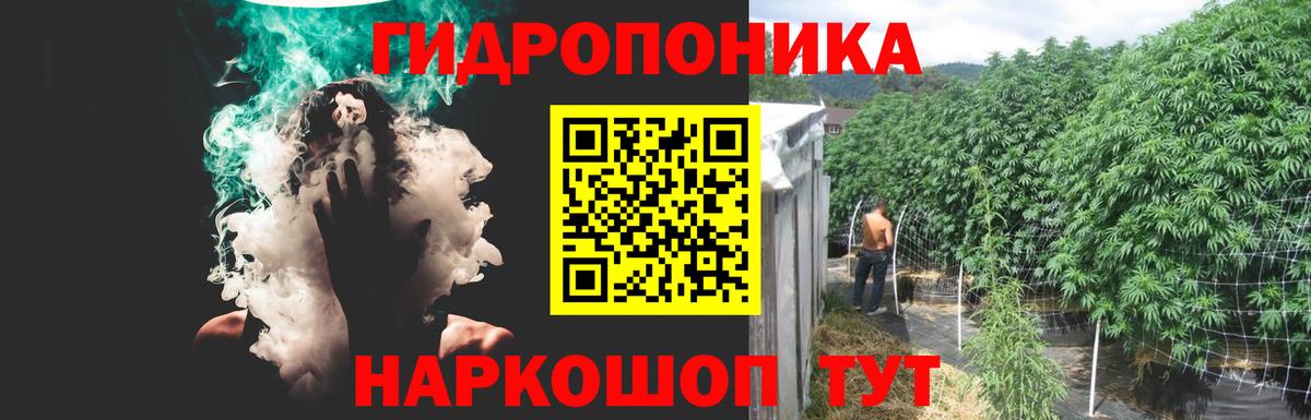 Мурино  Марихуана THC 21%  МАРИХУАНА ГИДРОПОН  Вход с VPN  Шишки марихуана индика  Конопля White Widow 
